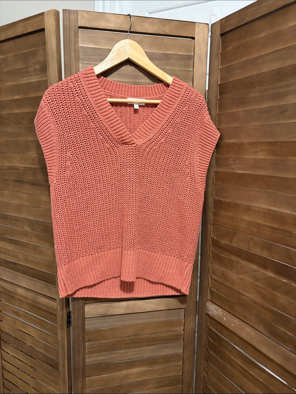 Sleeveless V-Neck Sweater Vest in Clay